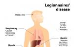 Legionellosis dan legionella: mekanisme perkembangan penyakit Pengobatan legionellosis pada orang dewasa