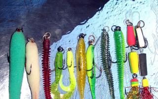 Homemade baits - do it yourself at home