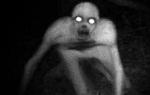 갈퀴 a.k.a.  갈퀴 남자 - 무서운 이야기와 비디오!  Creature Rake : 실제 만남과 허구 무서운 갈퀴