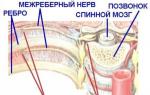 ما هو ضغط الصدر والألم العصبي؟
